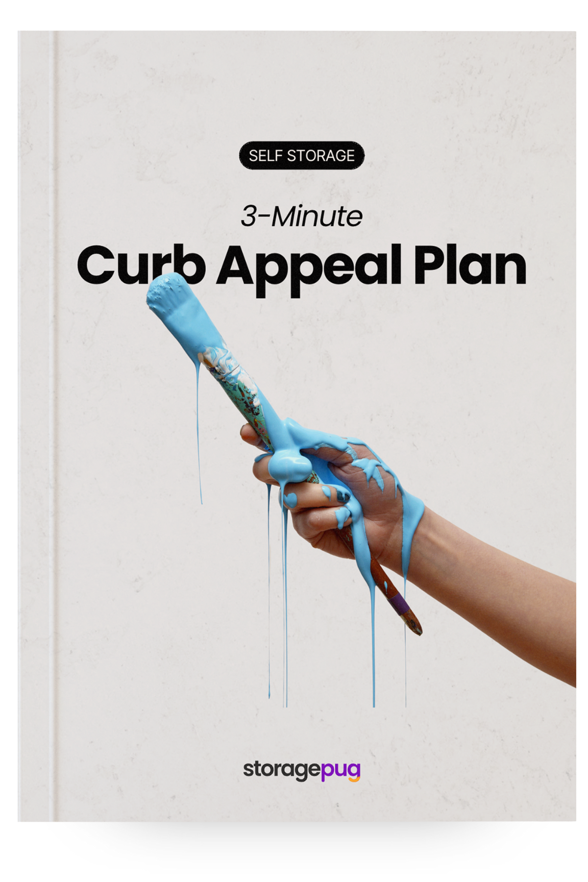 3-minute Curb Appeal Plan